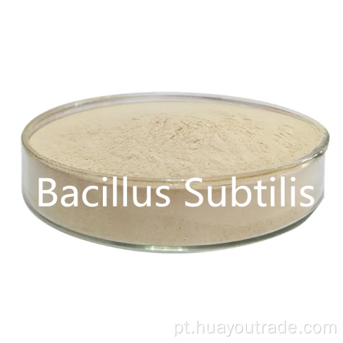 Bacillus subtilis água solúvel 400cfu/g para aditivo de alimentação